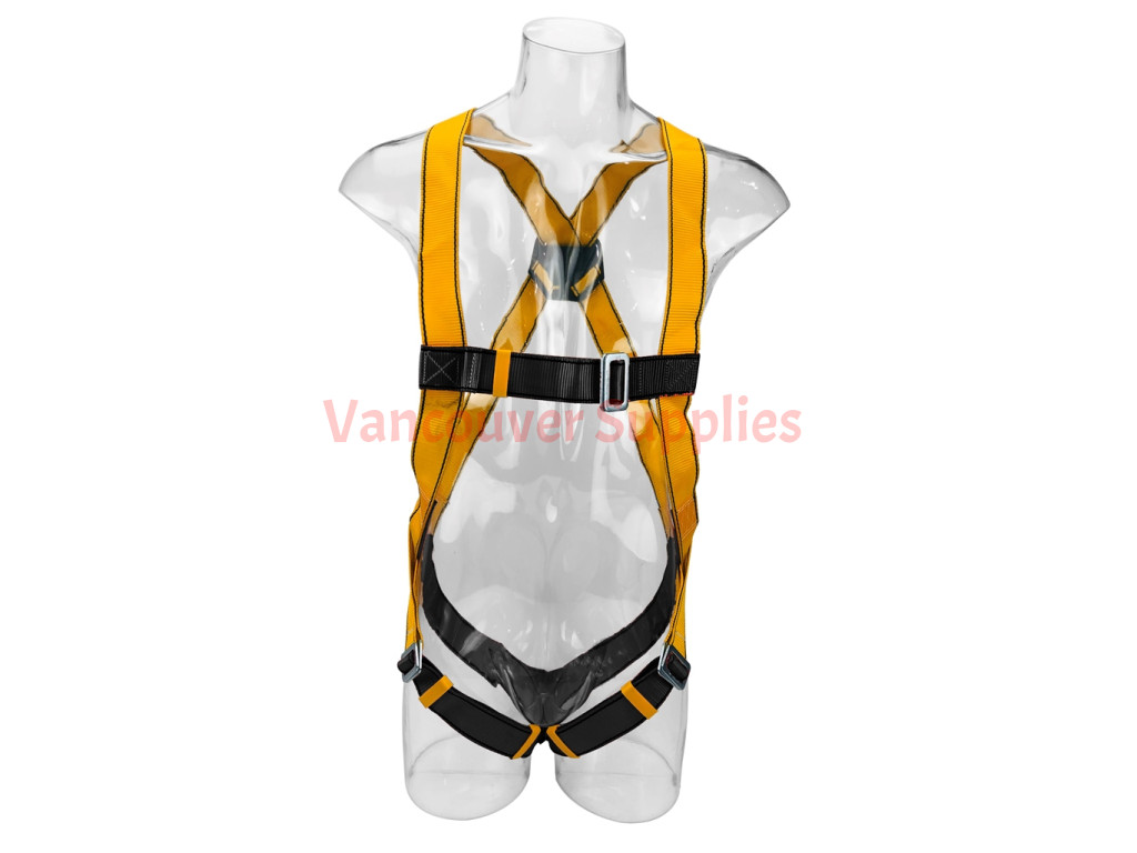 https://vancouversupplies.com/image/cache/cache/1-1000/119/main/4432-Universal%20Full-Body%20Anti-fall%20Safety%20Harness%20D-Ring%20Adjustable%20Buckles%20(2)-0-1-1024x768.jpg